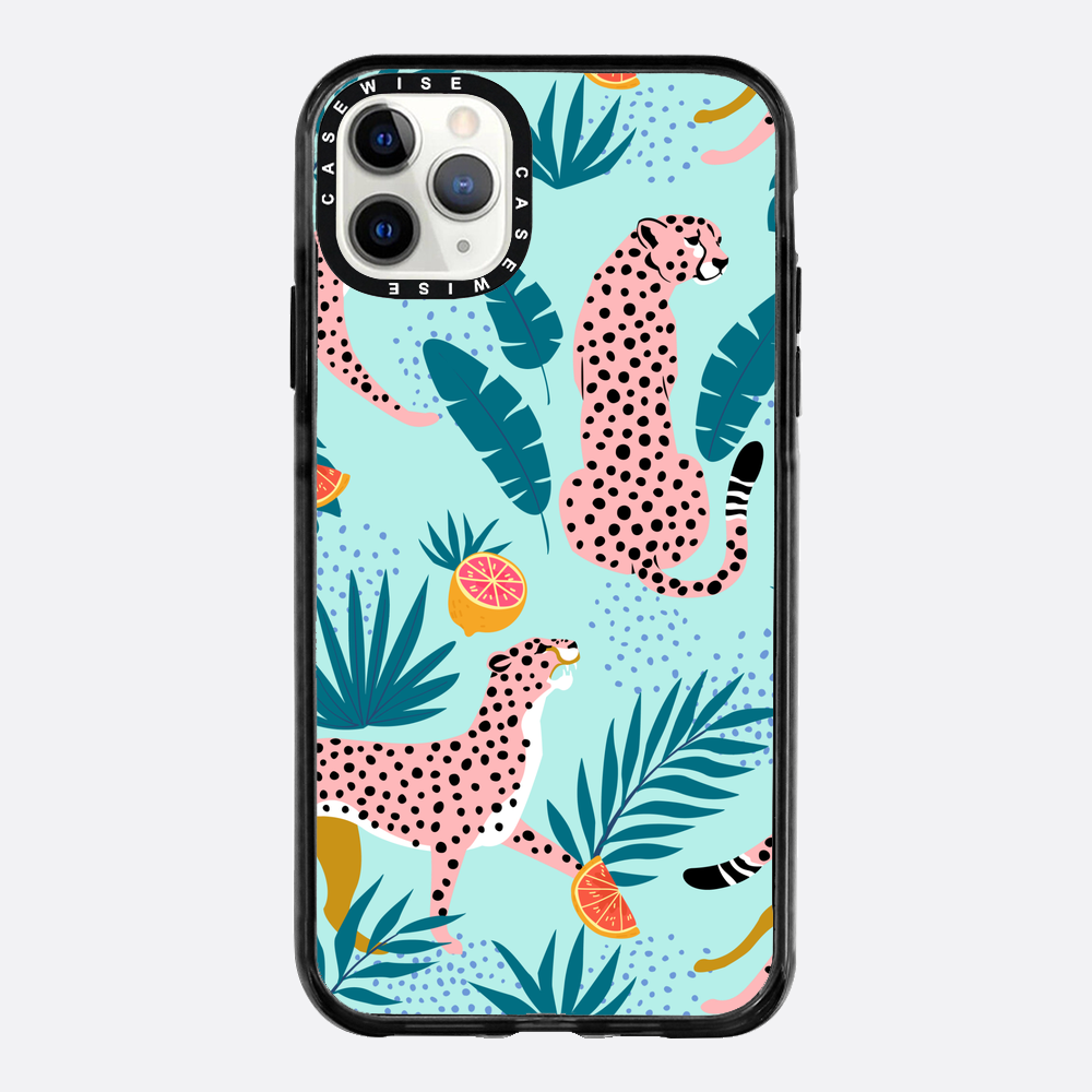 Cheetahs in the grapefruit grove