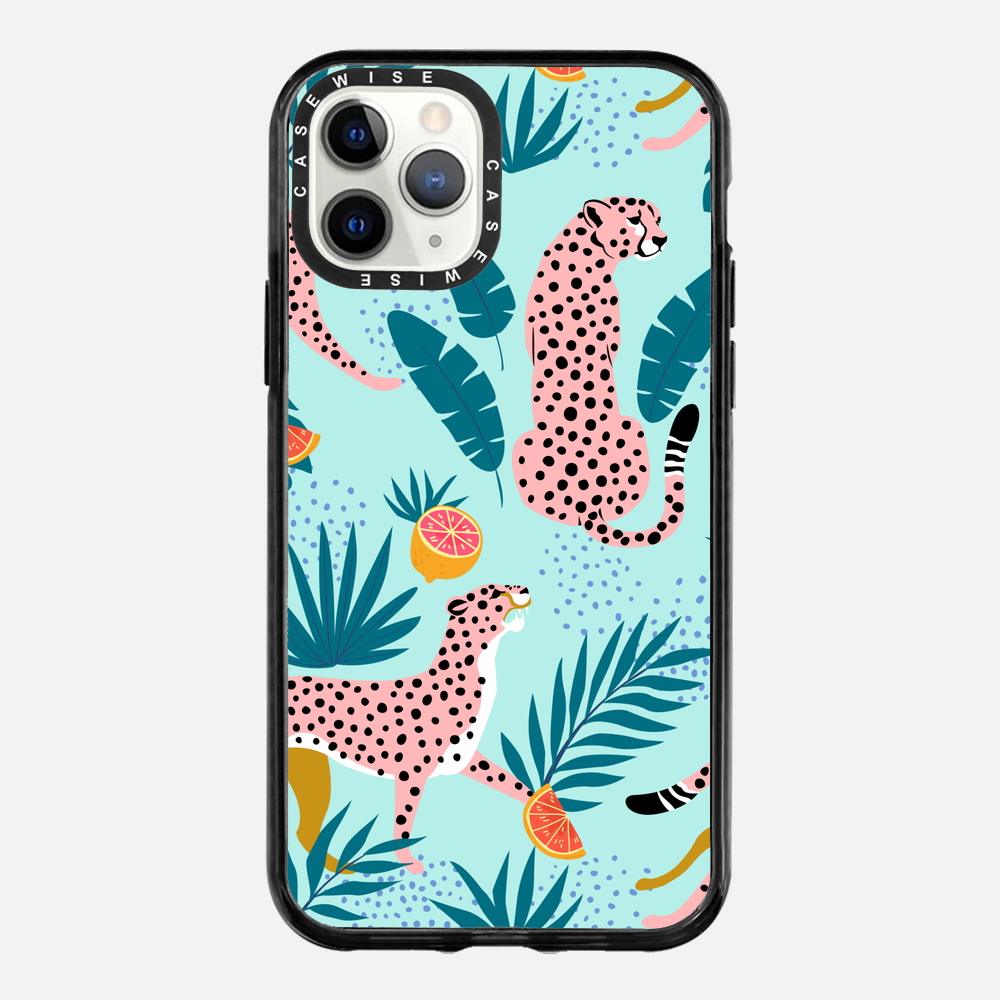 Cheetahs in the grapefruit grove