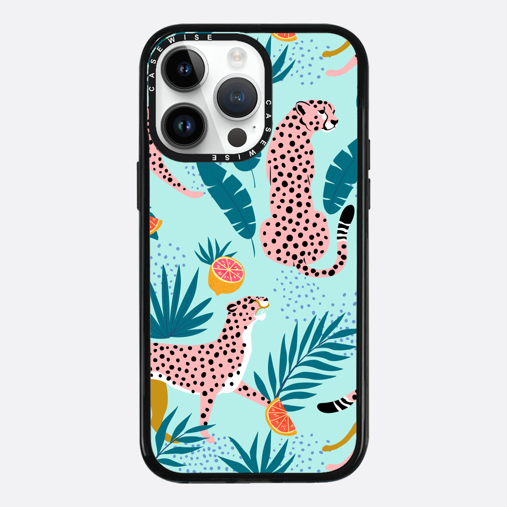 Cheetahs in the grapefruit grove