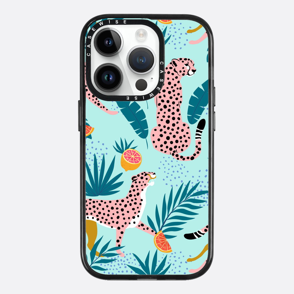 Cheetahs in the grapefruit grove
