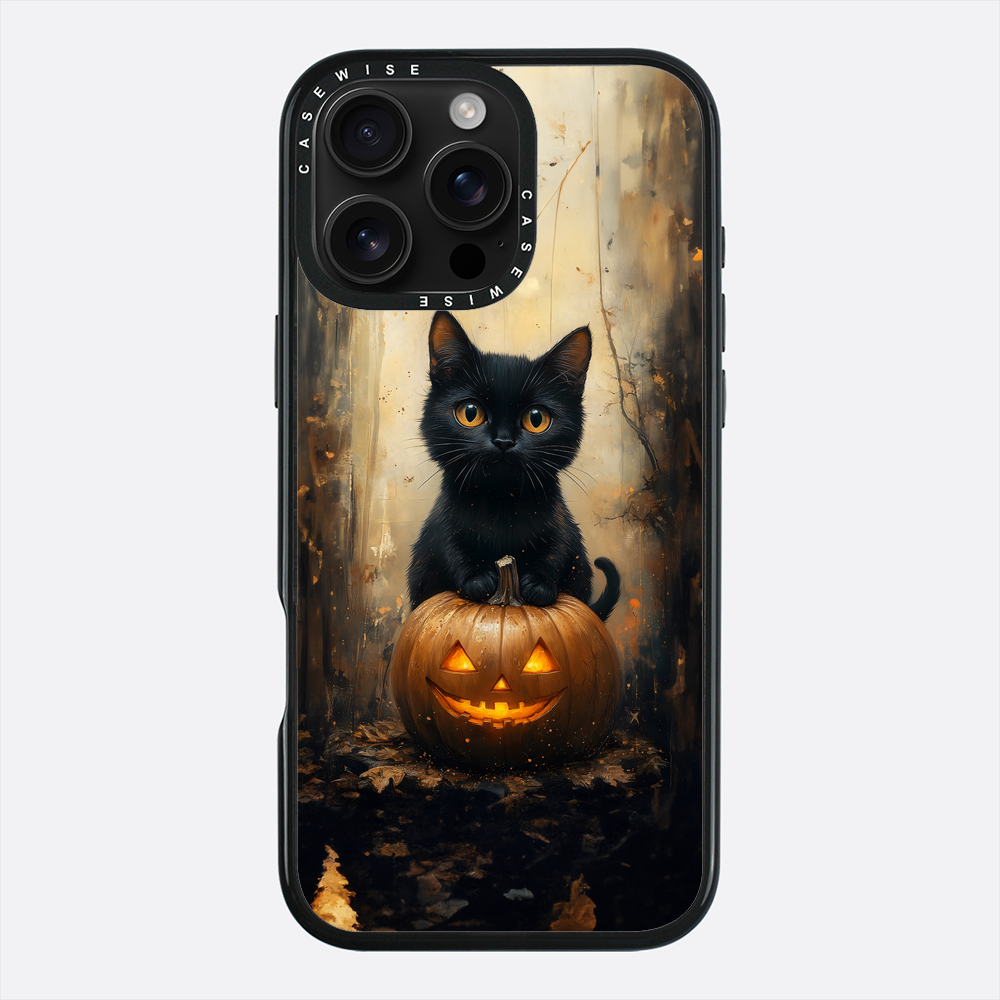 Black Pumpkin Cat - Etui