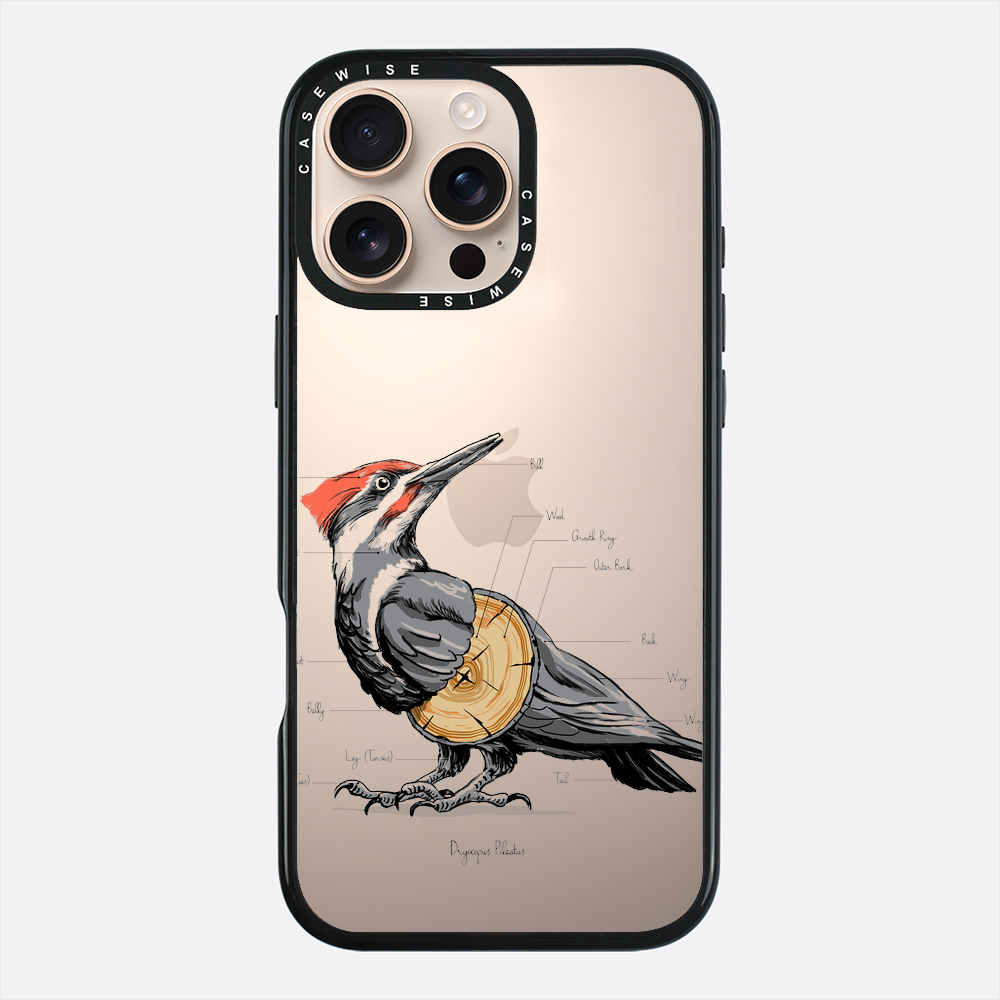 woodpecker anatomy - Etui