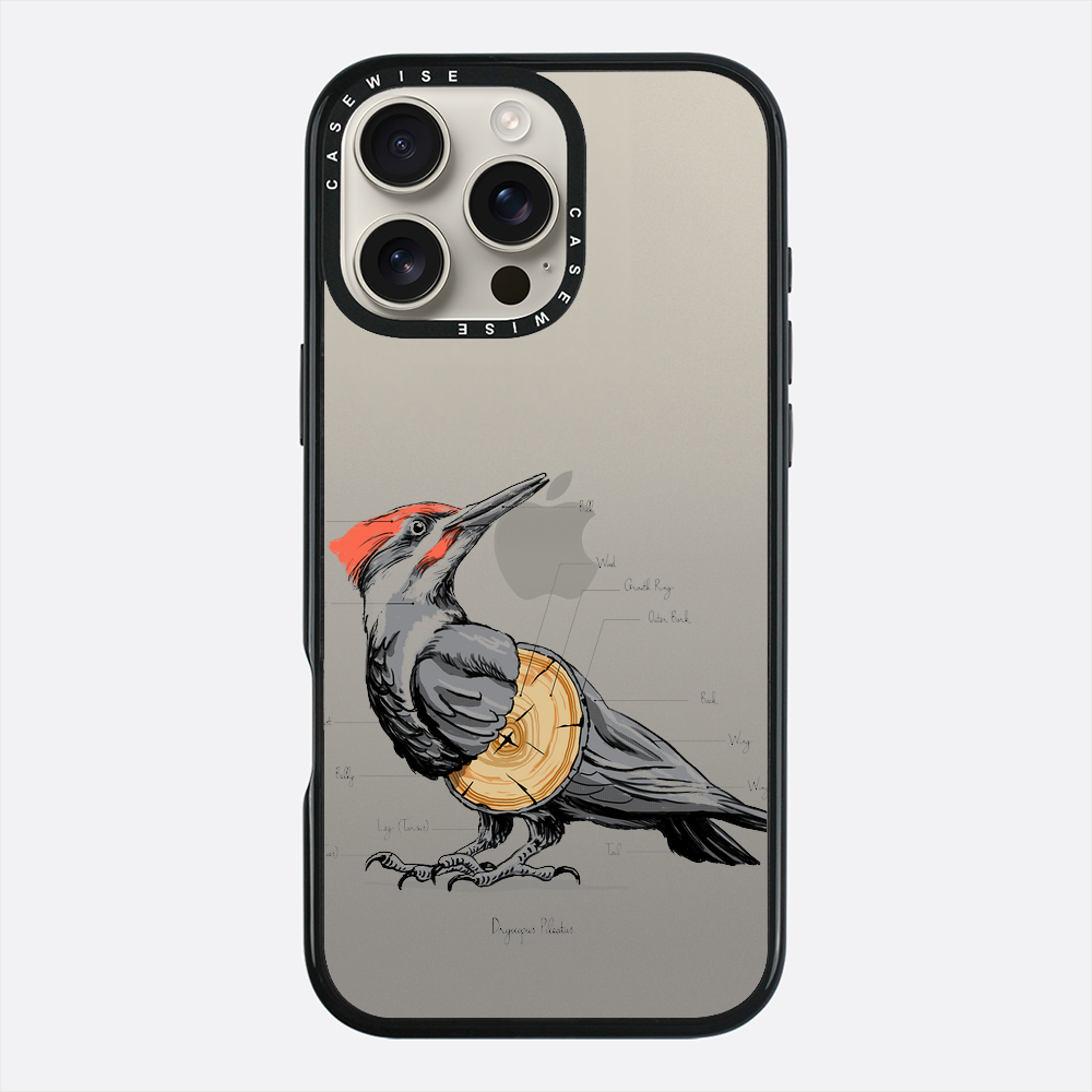 woodpecker anatomy - Etui