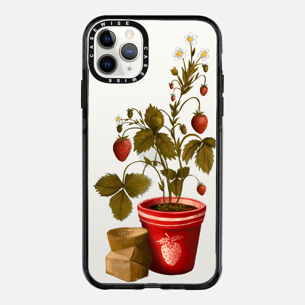Truskawki w doniczce - Etui