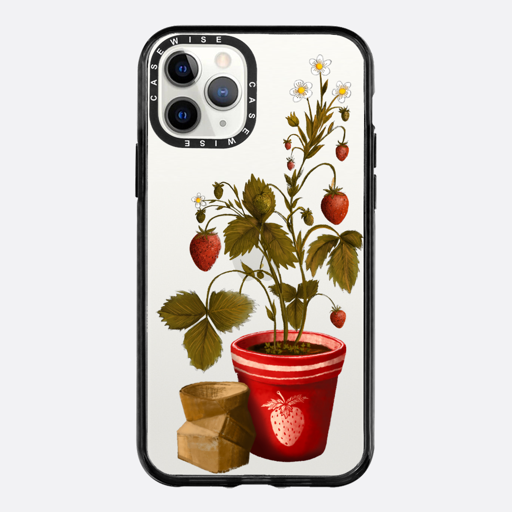 Truskawki w doniczce - Etui