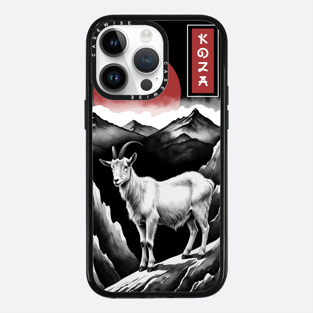 Skóra - Etui