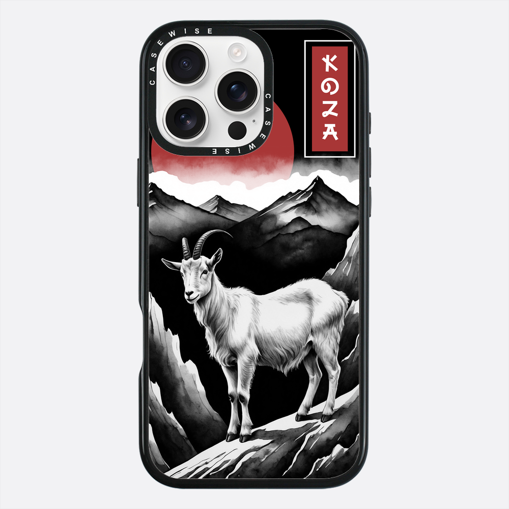 Skóra - Etui