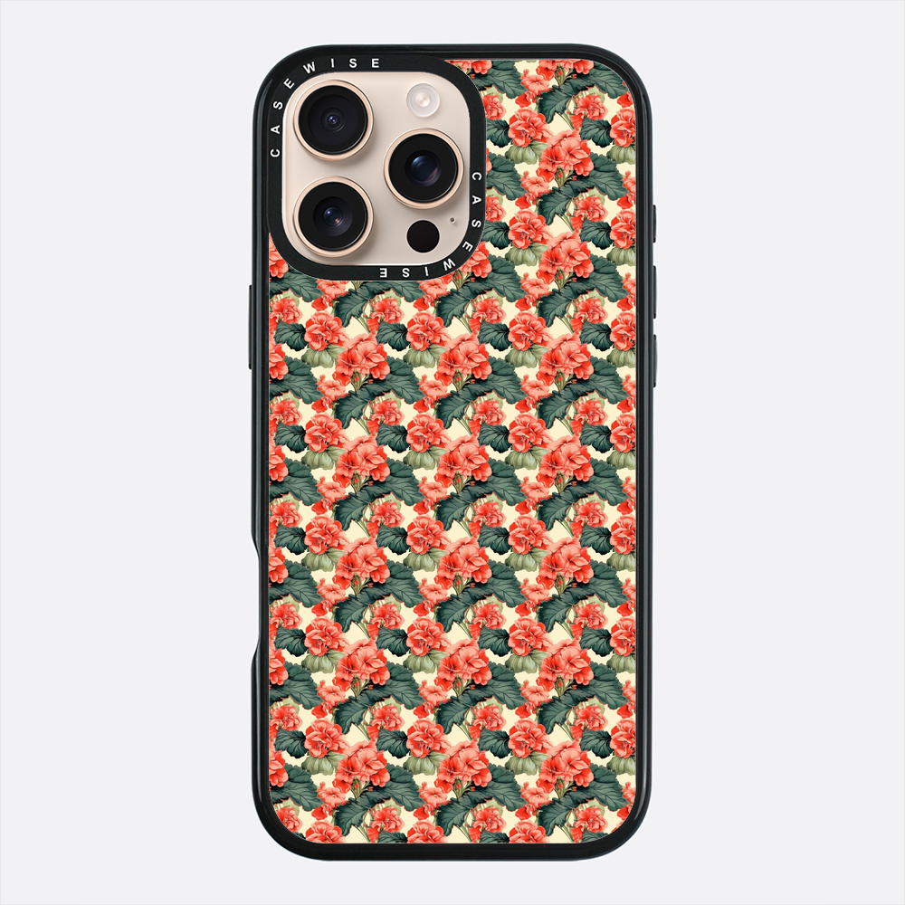 Begonia Krwisty Ogień - Etui