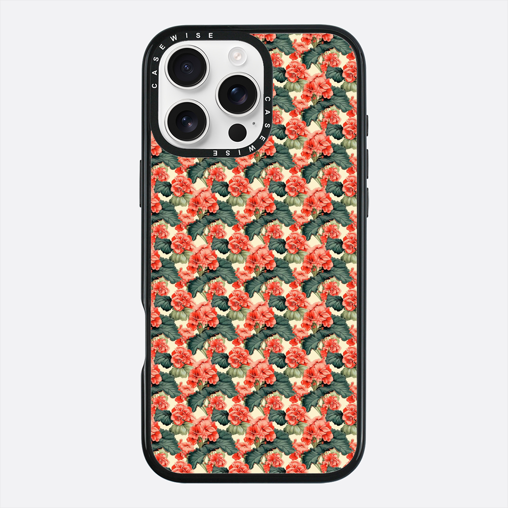 Begonia Krwisty Ogień - Etui