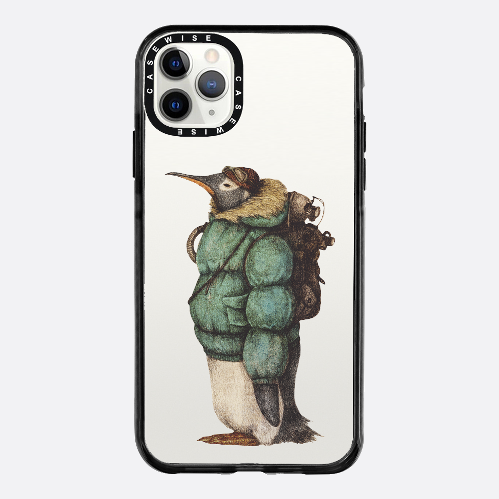 Antartic Explorer