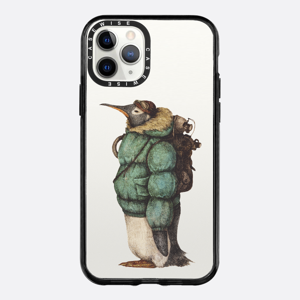 Antartic Explorer