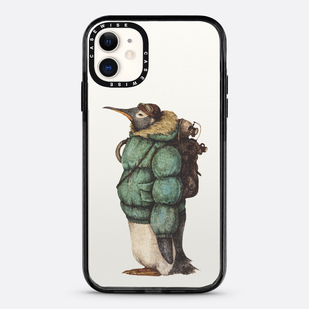 Antartic Explorer