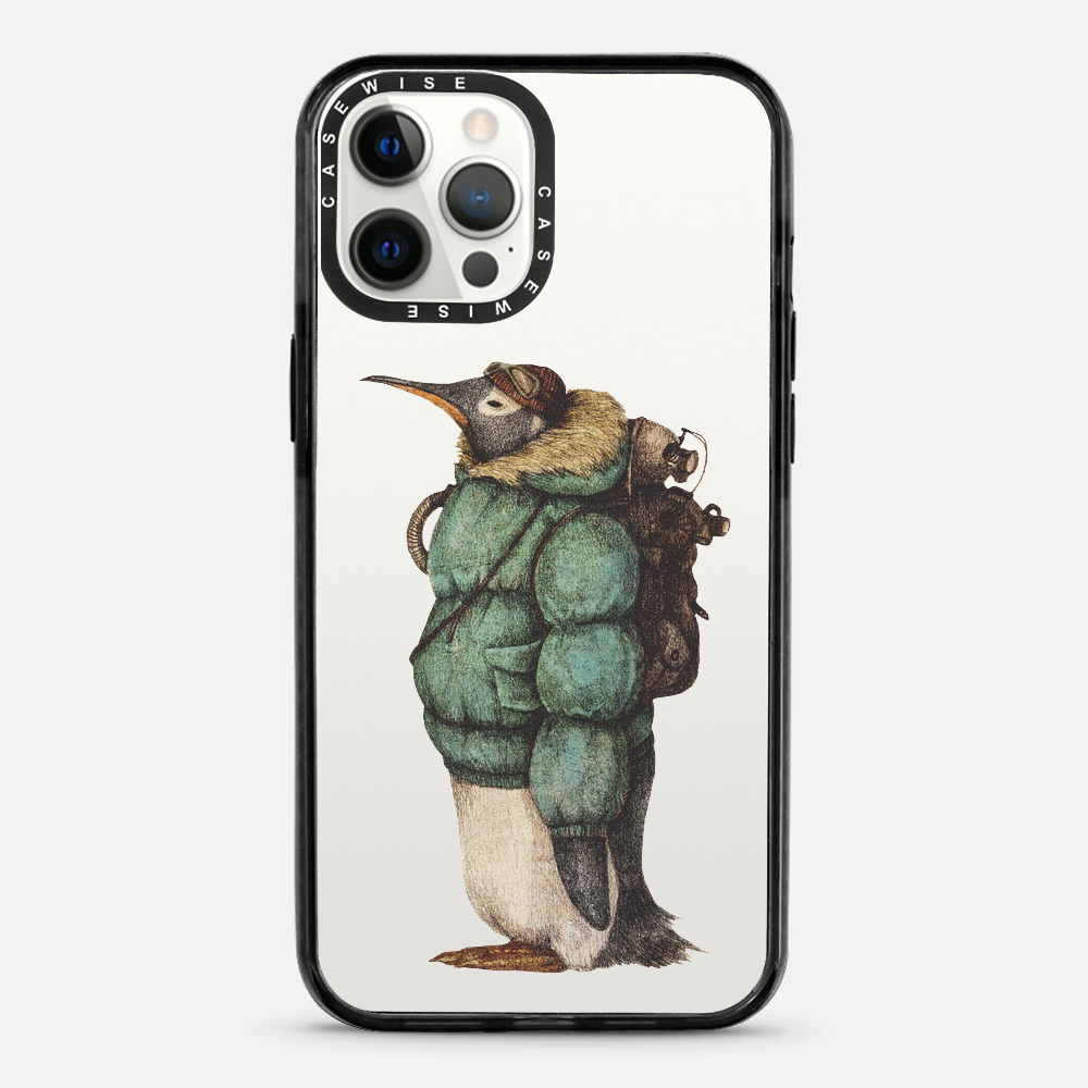 Antartic Explorer