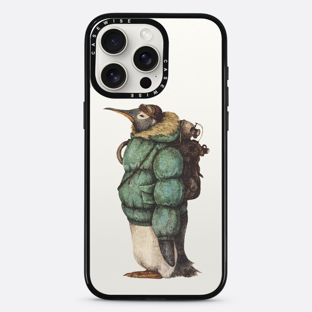Antartic Explorer