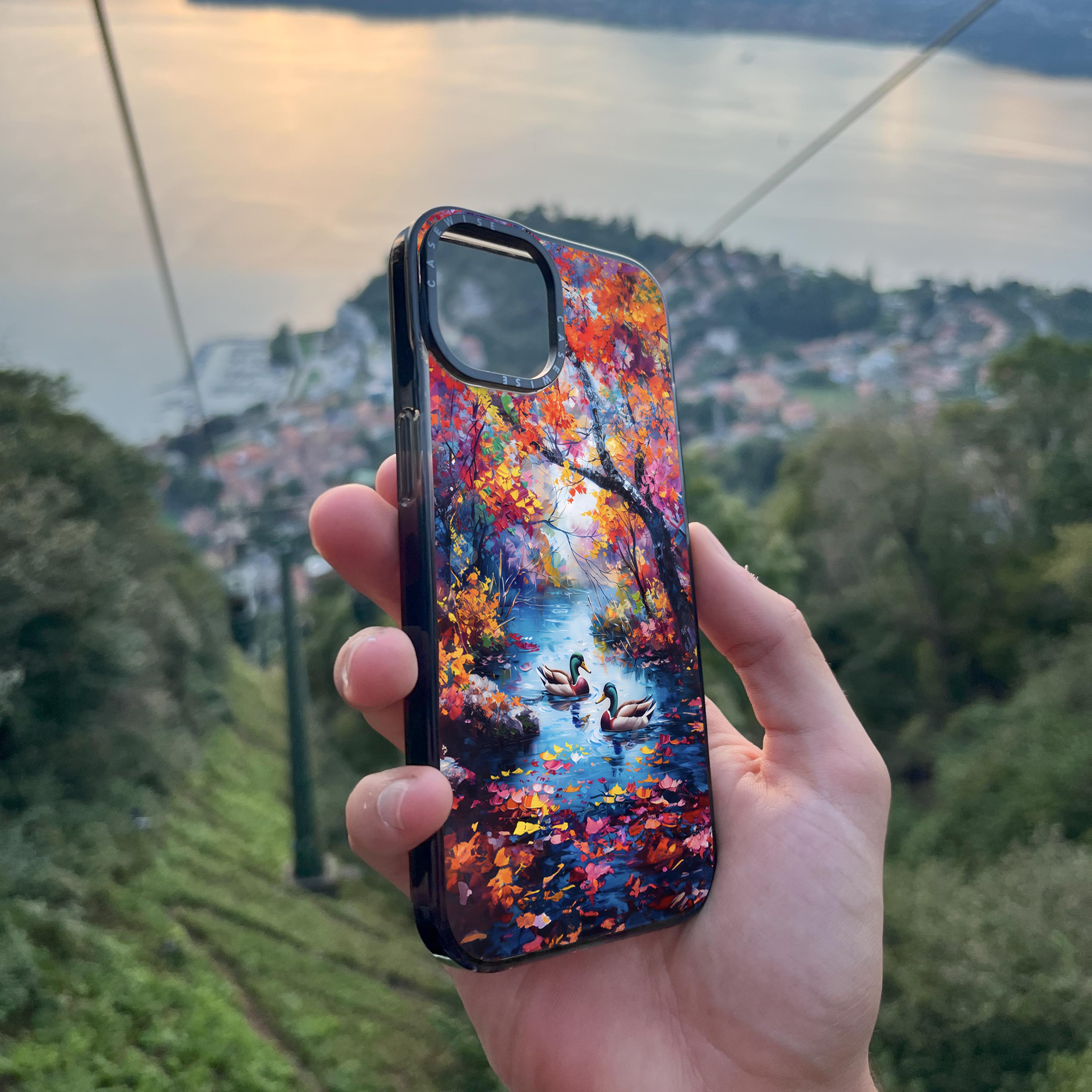 Ducks in Rainbow Forest - Etui
