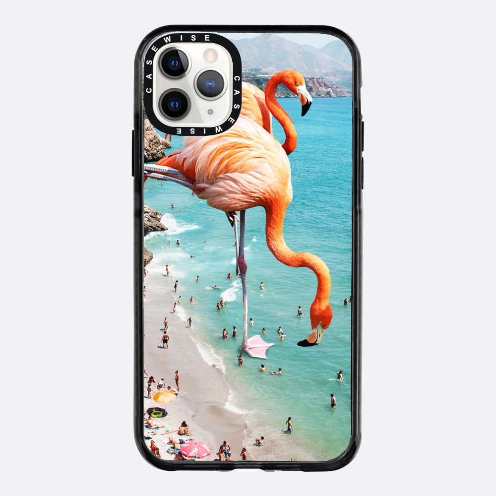 Flamingos on the beach