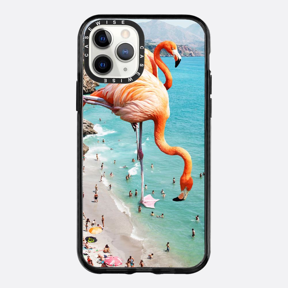 Flamingos on the beach