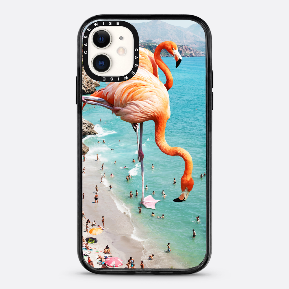 Flamingos on the beach