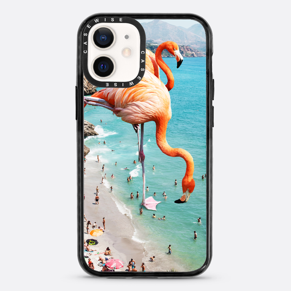 Flamingos on the beach