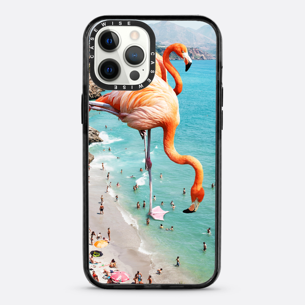 Flamingos on the beach