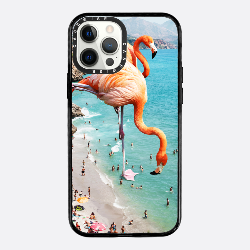 Flamingos on the beach