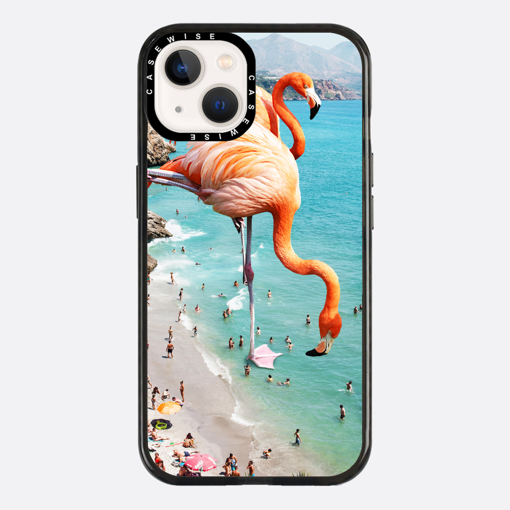 Flamingos on the beach