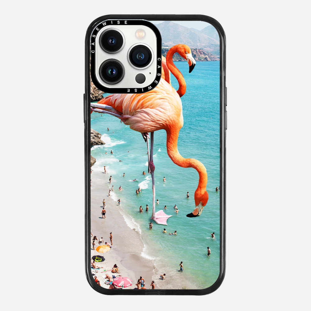 Flamingos on the beach