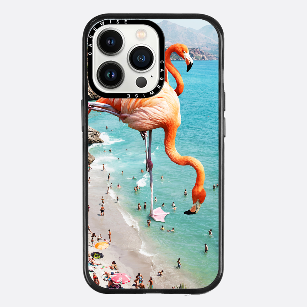 Flamingos on the beach