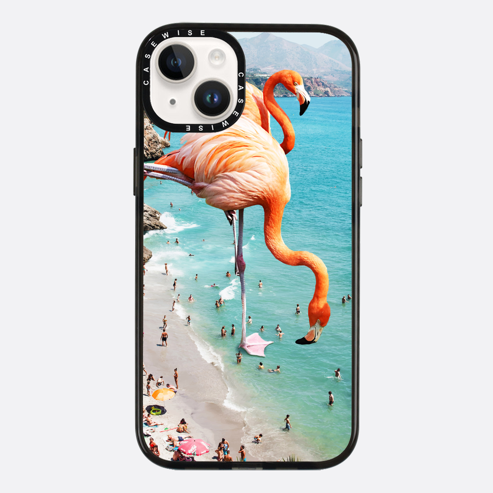 Flamingos on the beach