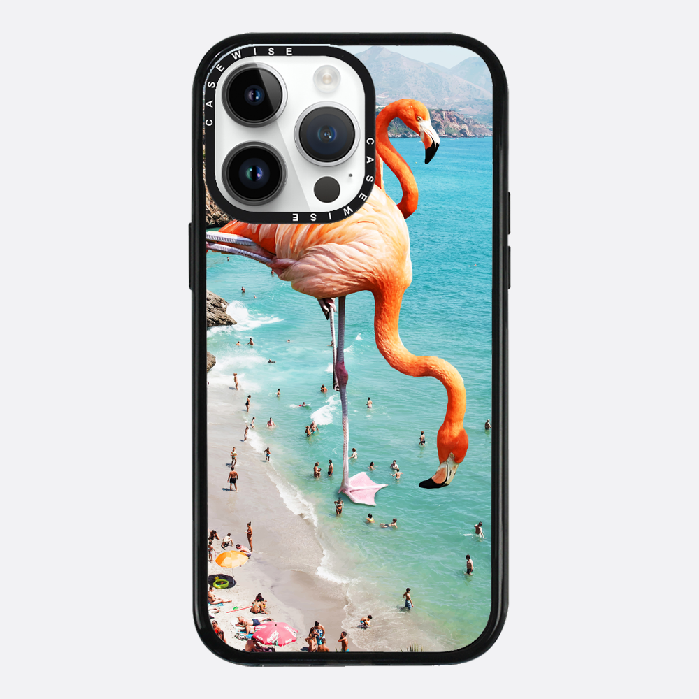 Flamingos on the beach