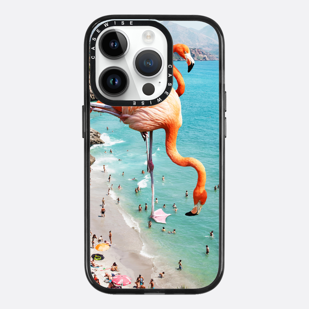 Flamingos on the beach