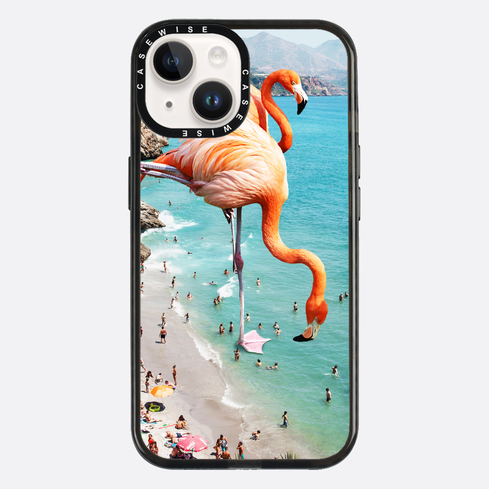 Flamingos on the beach