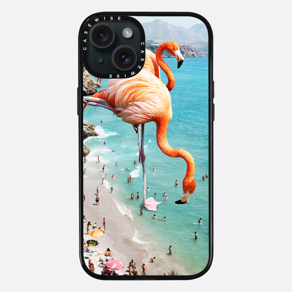 Flamingos on the beach