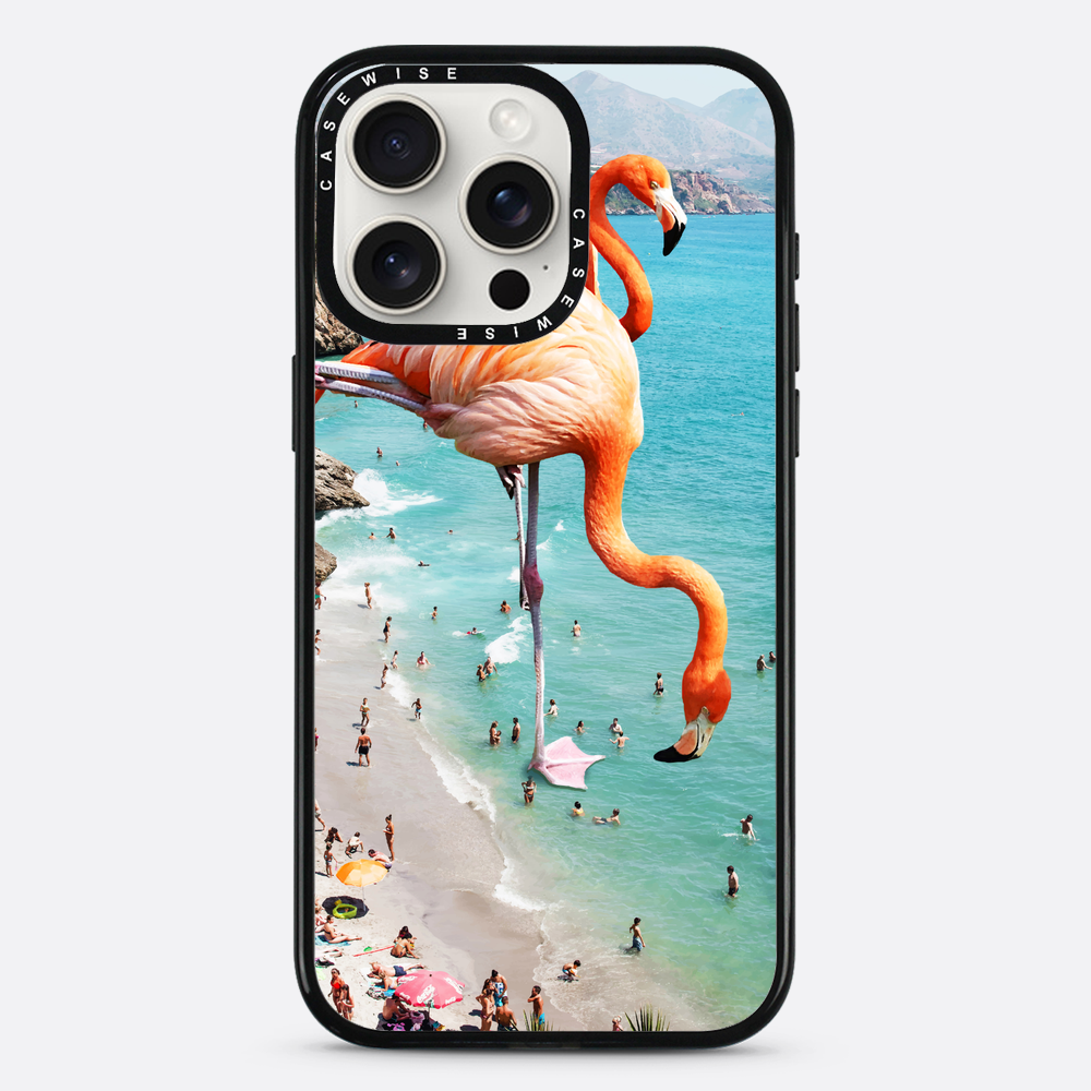 Flamingos on the beach