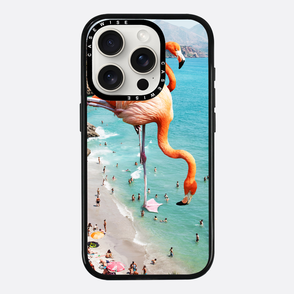 Flamingos on the beach