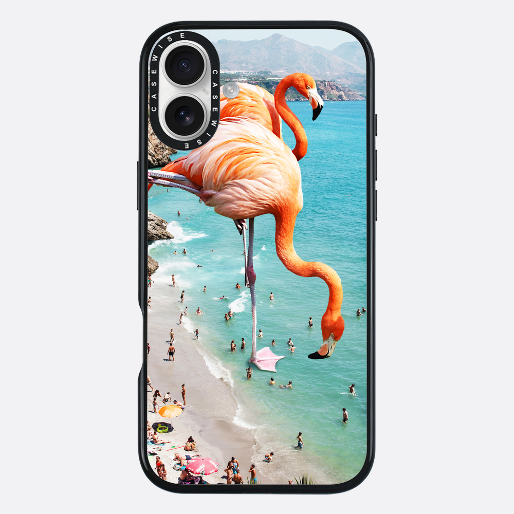 Flamingos on the beach