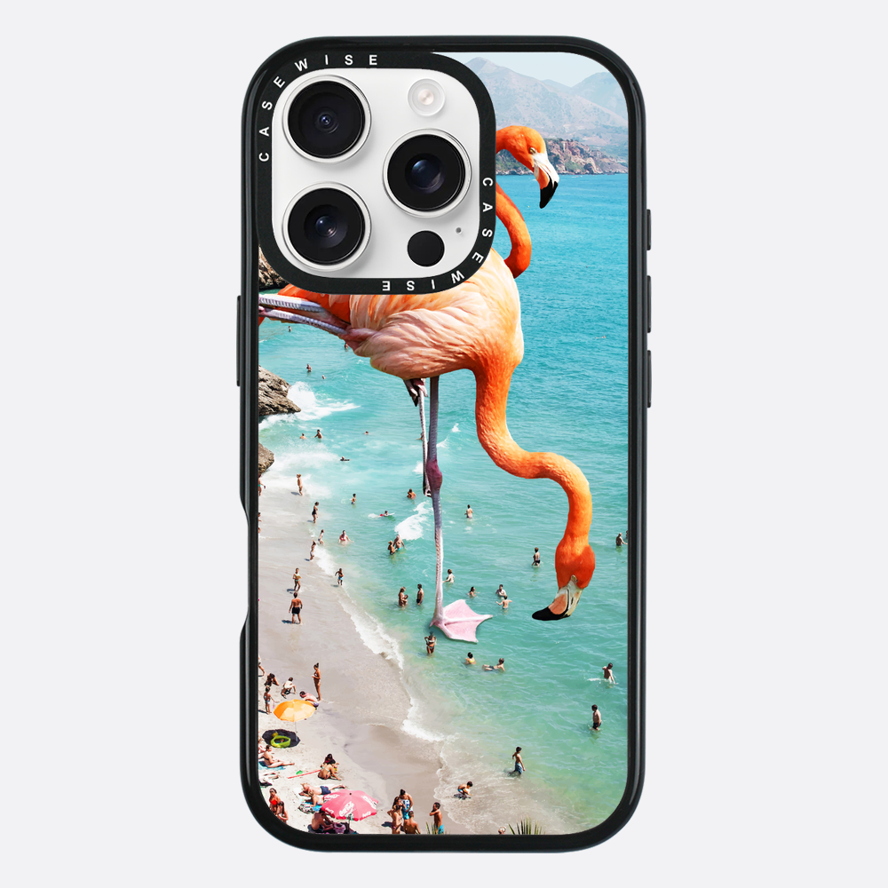 Flamingos on the beach