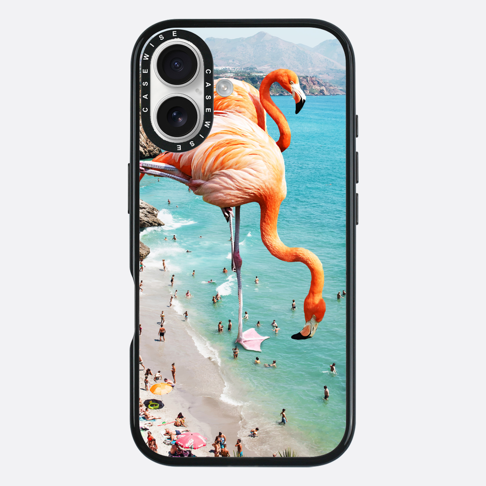 Flamingos on the beach