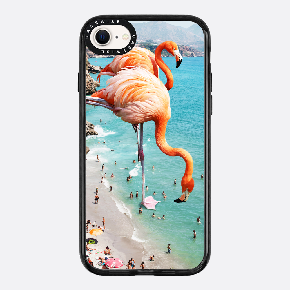 Flamingos on the beach