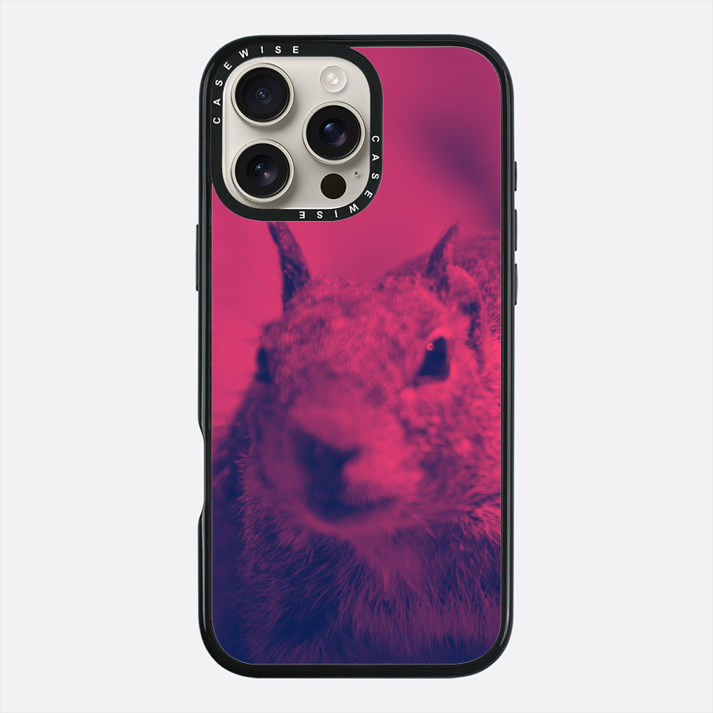 Wiewióra Fuksjowa - Etui