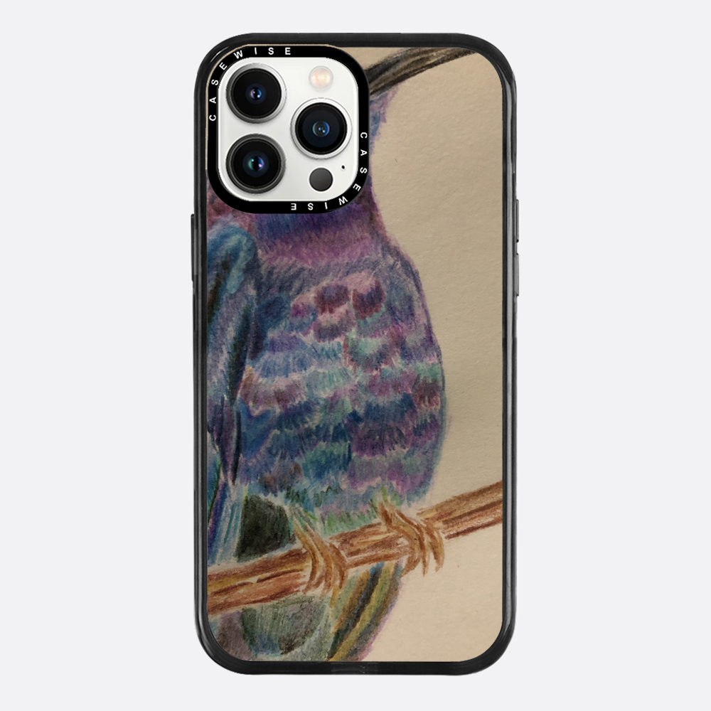 Egzotyczny Koliber - Etui