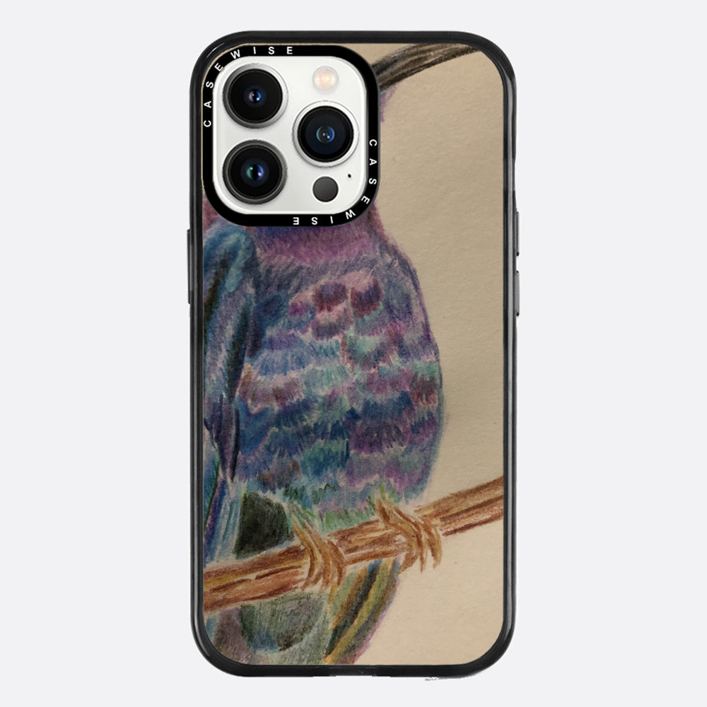 Egzotyczny Koliber - Etui
