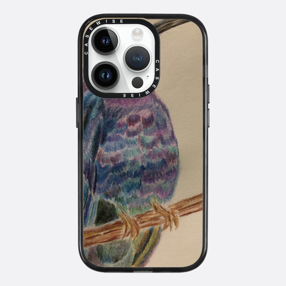 Egzotyczny Koliber - Etui
