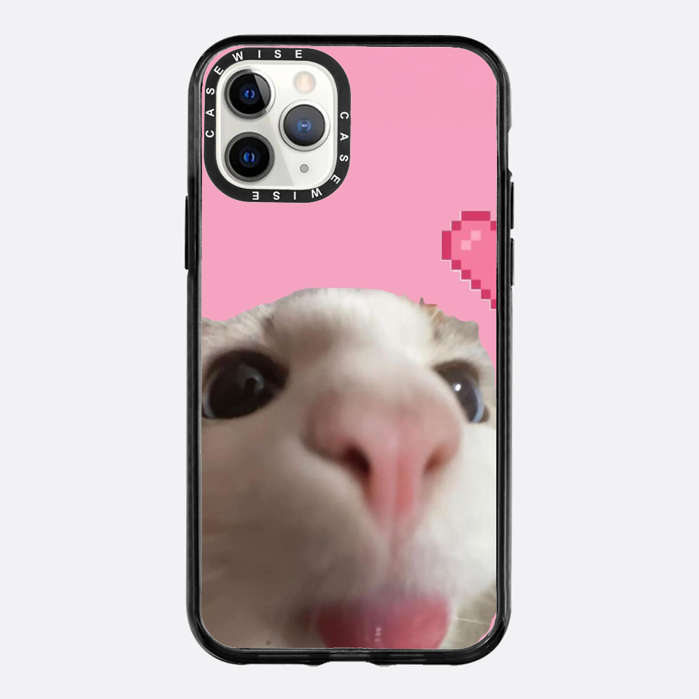 Słodki Zoom Kotka - Etui