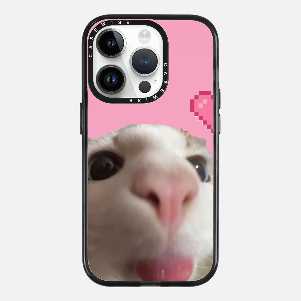 Słodki Zoom Kotka - Etui