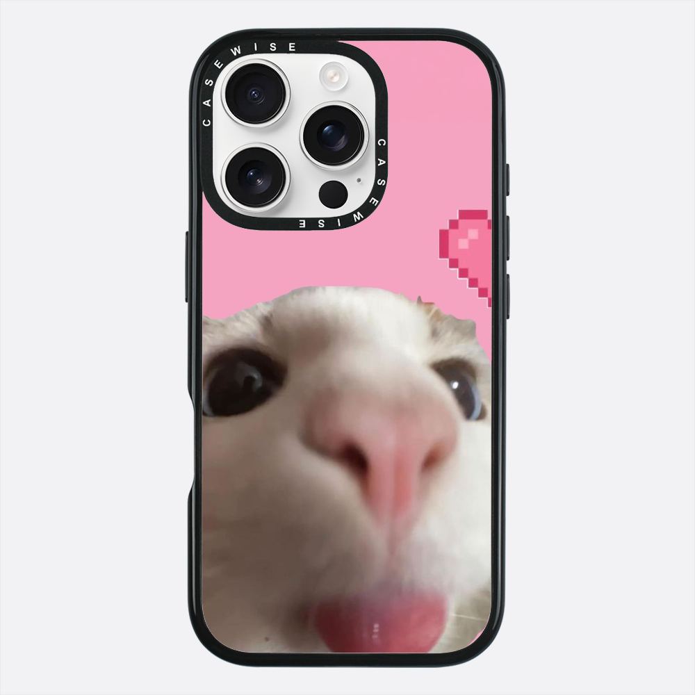 Słodki Zoom Kotka - Etui