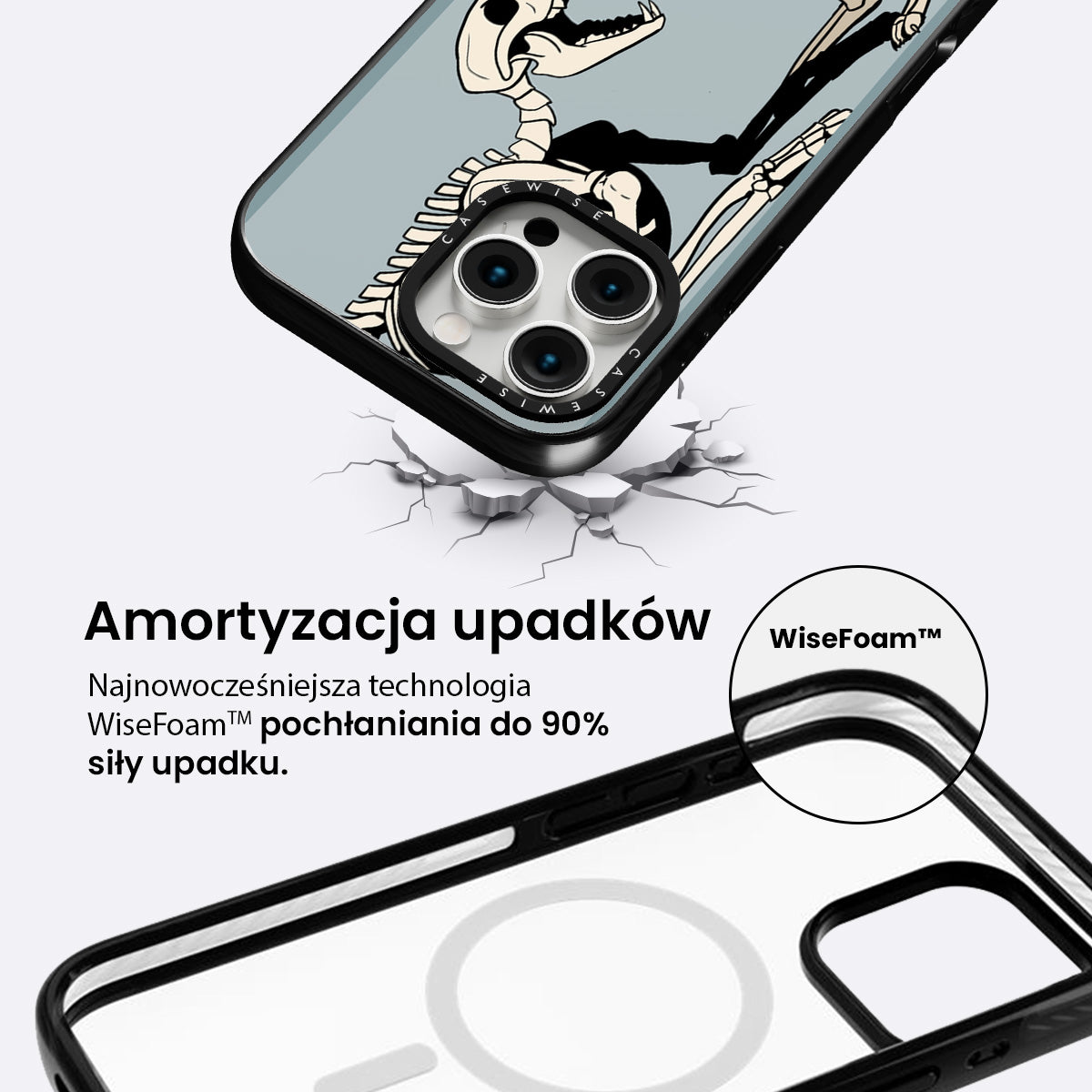 Szkielet psa i kota - Etui