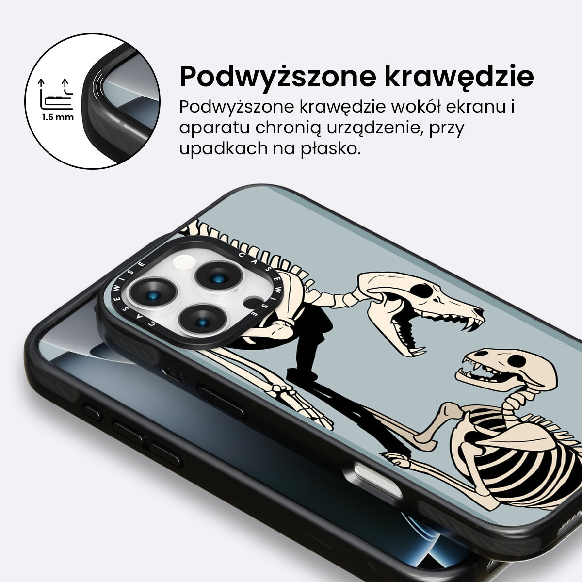 Szkielet psa i kota - Etui