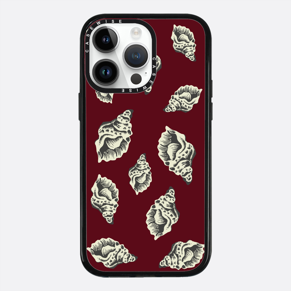 Muszle morskie - Etui