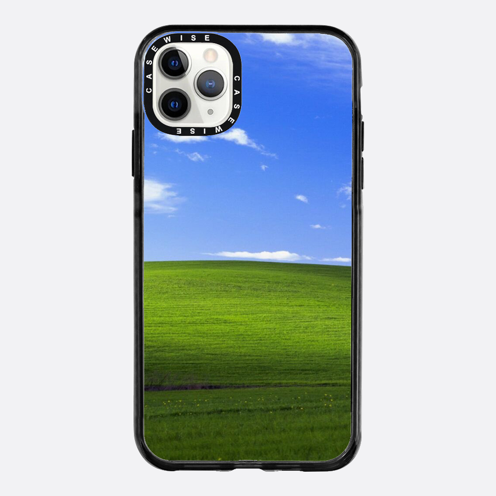 Łąka z windowsa - Etui